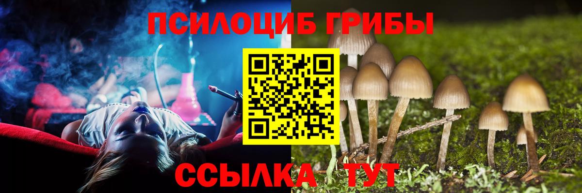 Галлюциногенные грибы Cubensis  цены   Галлюциногенные грибы Psilocybine cubensis  Волгоград  Вход с VPN 